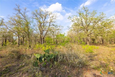 The Post Oak Ranch is a stunning 186.5 +/- acre property nestled - photo 23