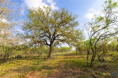 The Post Oak Ranch is a stunning 186.5 +/- acre property nestled - photo 24