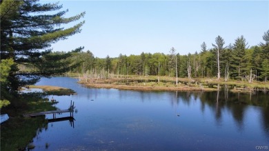 Lake Home For Sale in Watson, New York