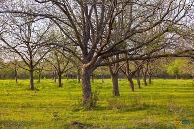 The Post Oak Ranch is a stunning 186.5 +/- acre property nestled - photo 34