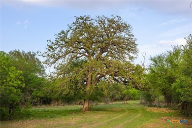The Post Oak Ranch is a stunning 186.5 +/- acre property nestled - photo 35