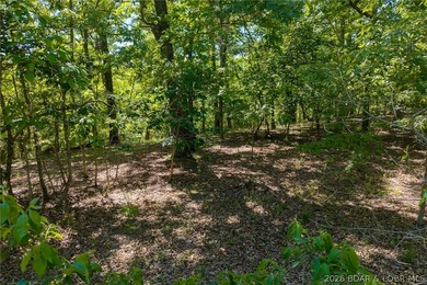 Exceptional development and investment opportunity in the heart - photo 33