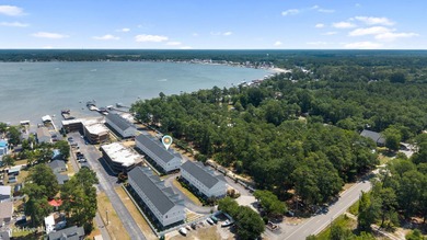 Welcome to easy living at White Lake! Whether you're searching - photo 33