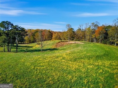 (private lake, pond, coastal) Acreage For Sale in Alpharetta Georgia