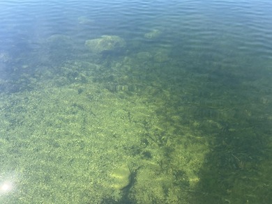 Here is your chance to own your special place on the lake. This - photo 6