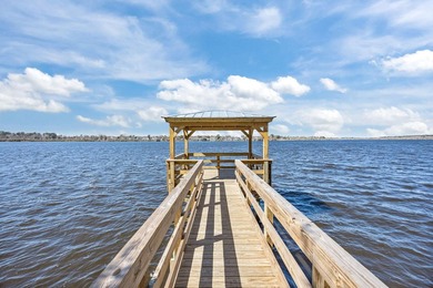 This stunning 4-bedroom, 3.5-bath, ~2,300 sq ft end-unit - photo 43