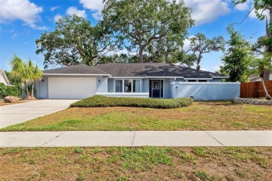 Lake Home Sale Pending in Brandon, Florida