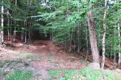 First Lake Lot For Sale in Old Forge New York