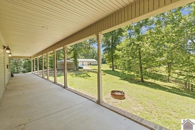 Rare doesn't even begin to cover it. This cabin-style home - photo 25