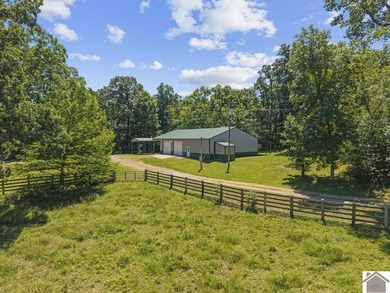 Rare doesn't even begin to cover it. This cabin-style home - photo 32