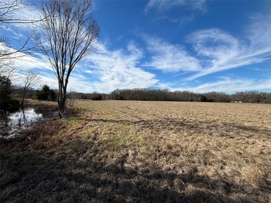19.22 acres of beautiful East Texas pasture land located on CR - photo 3