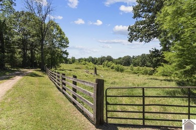 Rare doesn't even begin to cover it. This cabin-style home - photo 33