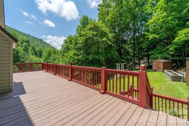 Tucked away in the mountains just minutes from downtown Bryson - photo 34