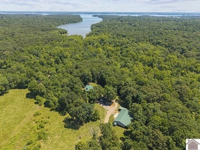 Rare doesn't even begin to cover it. This cabin-style home - photo 34