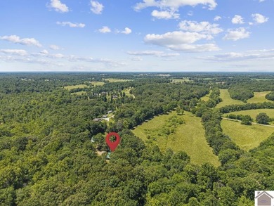Rare doesn't even begin to cover it. This cabin-style home - photo 35