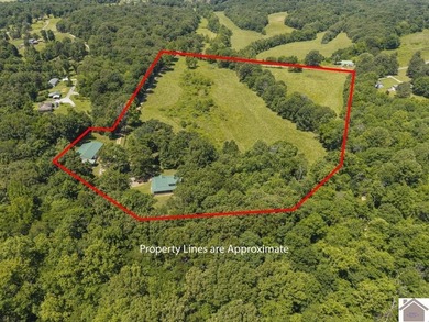 Rare doesn't even begin to cover it. This cabin-style home - photo 36