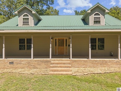 Rare doesn't even begin to cover it. This cabin-style home - photo 38