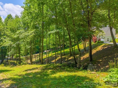 Tucked away in the mountains just minutes from downtown Bryson - photo 39