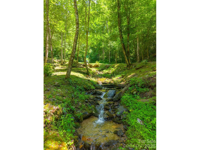 Tucked away in the mountains just minutes from downtown Bryson - photo 40