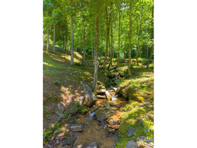 Tucked away in the mountains just minutes from downtown Bryson - photo 41