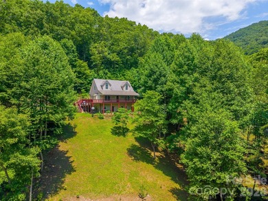 Tucked away in the mountains just minutes from downtown Bryson - photo 47