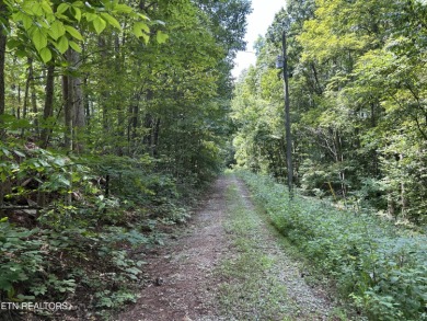 Norris Lake Lot For Sale in Maynardville Tennessee