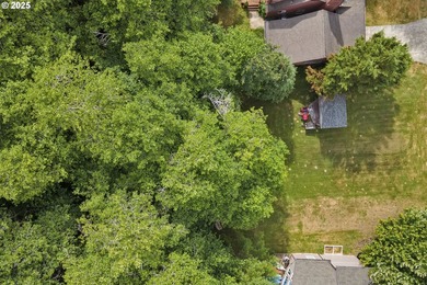 Flat, grassy lot lining Fishhawk Creek and just a stone's throw - photo 2