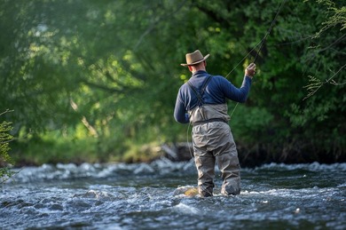 The 270 Ranch at Skalkaho Creek represents a rare opportunity to - photo 4