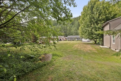 Flat, grassy lot lining Fishhawk Creek and just a stone's throw - photo 4