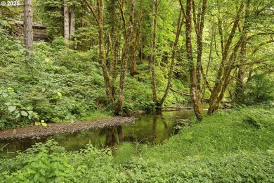 Flat, grassy lot lining Fishhawk Creek and just a stone's throw - photo 6