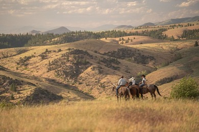 The 270 Ranch at Skalkaho Creek represents a rare opportunity to - photo 7