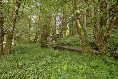 Flat, grassy lot lining Fishhawk Creek and just a stone's throw - photo 7
