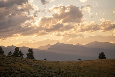 The 270 Ranch at Skalkaho Creek represents a rare opportunity to - photo 8