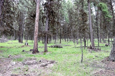 Welcome to Seeley Lake, where year-round recreation is right - photo 8