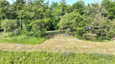 Lake Lot For Sale in Sanford, Michigan