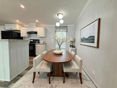 TYRONE VILLAGE - A PREMIER 55+ COMMUNITY in TAMPA. Now available - photo 5