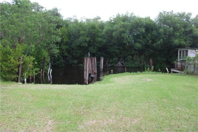 Lake Lot For Sale in Other, Florida