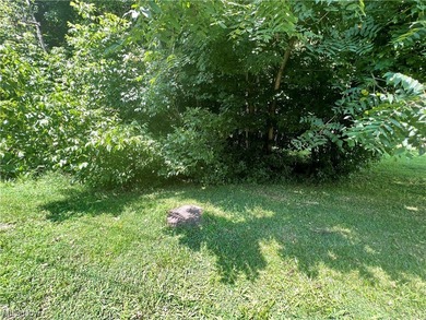 Ohio River Lot For Sale in Pomeroy Ohio