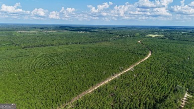 (private lake, pond, creek) Acreage For Sale in Baxley Georgia