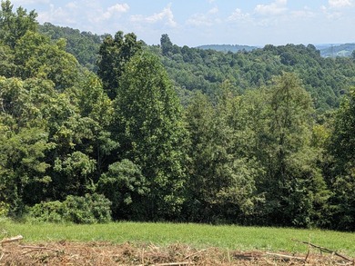 This 1.52 +/- acre lot is located at the top of Leon's Rock - photo 12