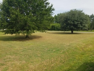 Lake Lot For Sale in Tool, Texas