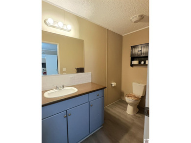 Affordable lake area 3 bd 2 ba manufactured home on nearly half - photo 11