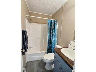 Affordable lake area 3 bd 2 ba manufactured home on nearly half - photo 14