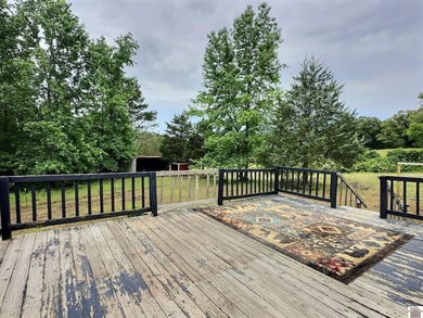 Affordable lake area 3 bd 2 ba manufactured home on nearly half - photo 17