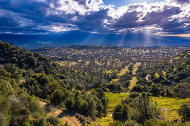 Located near Bear Valley Springs, the Black Oaks Ranch is a - photo 24