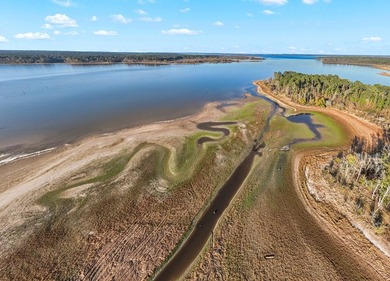145 Pleasure Drive - Your Fully Furnished Lake Sam Rayburn - photo 30