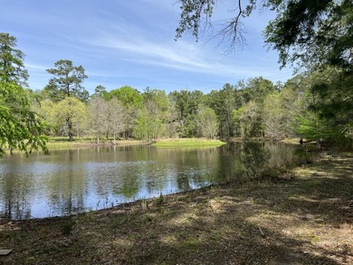 (private lake, pond, creek) Acreage For Sale in Plantersville Texas