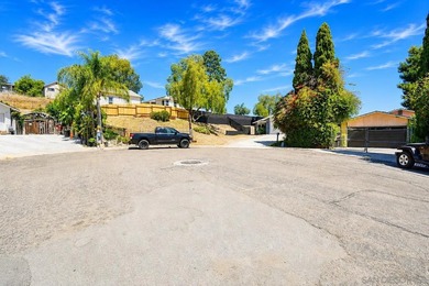 UPGRADED SINGLE STORY 3 BEDROOM AT TUCKED AWAY AT END OF - photo 41