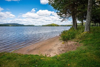 'Tojenka' is a rare Big Moose Lake estate offering an - photo 46