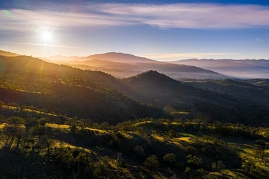 Located near Bear Valley Springs, the Black Oaks Ranch is a - photo 47